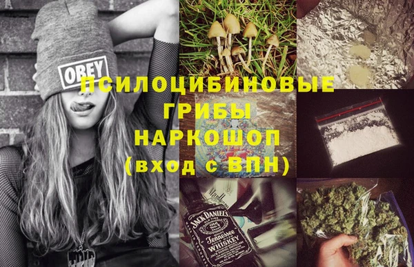 сатива Алексин
