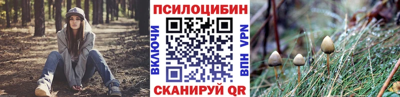 Псилоцибиновые грибы мицелий Чаплыгин
